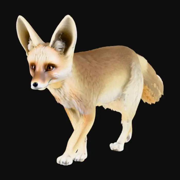 3D model for Desert Wanderer