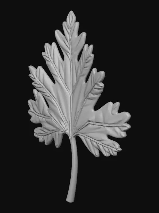 3D model for I want a single parsley leaf