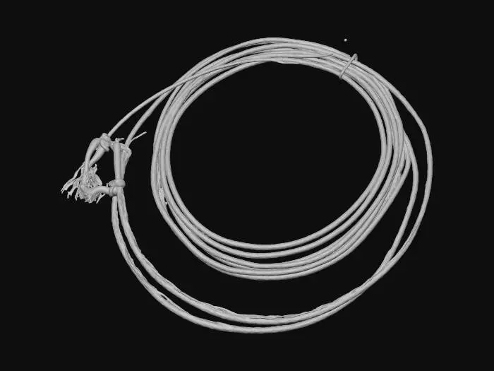 3D model for Lasso Loop