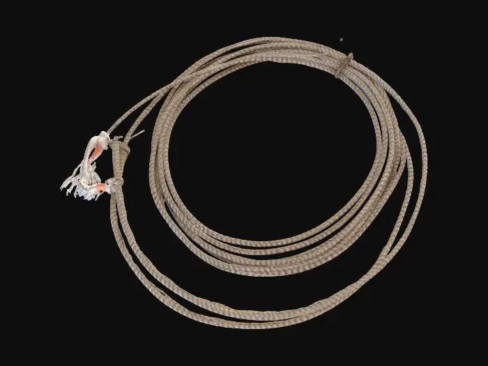 3D model for Lasso Loop