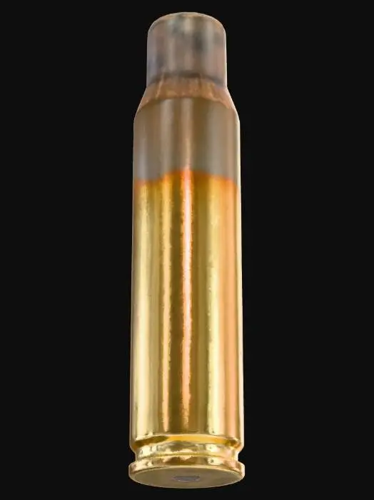 3D model for Cartridge Casing