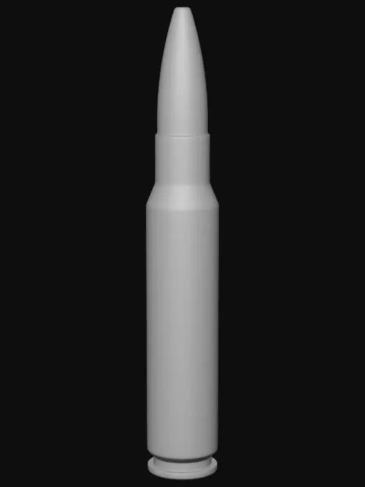 3D model for Ammunition Profile