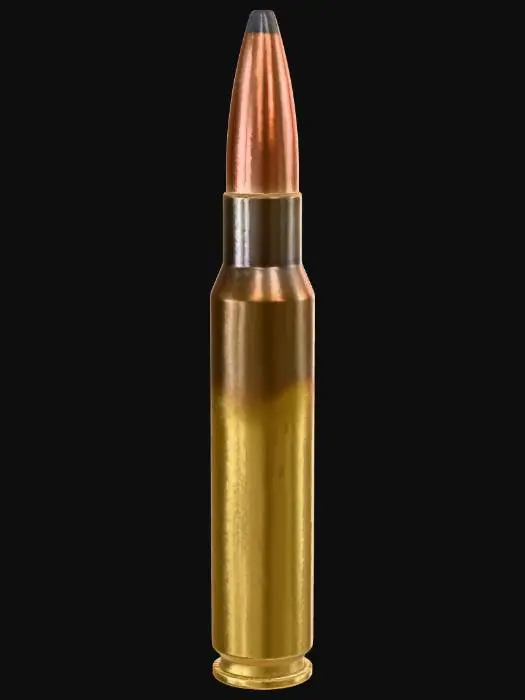 3D model for Ammunition Profile