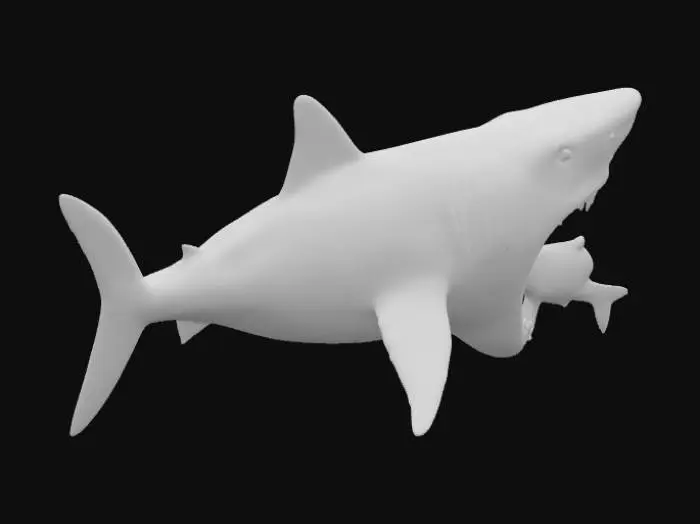 3D model for 帮我生成一条鲨鱼，凶狠，张大嘴，吃小鱼，身上很多伤疤