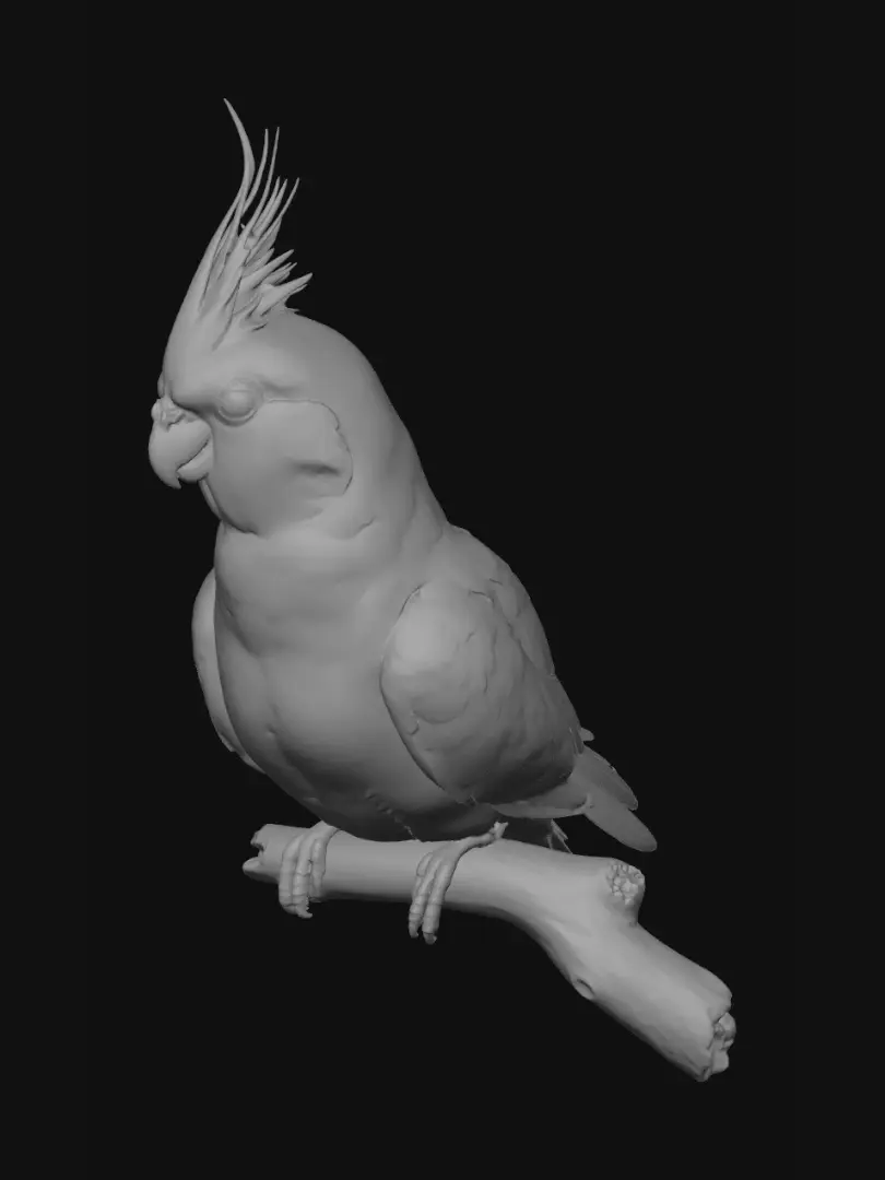 parrot