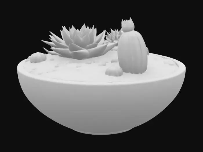 3D model for modern contemporary artistic  wide-mouthed planter filled with sand containing a variety of small succulents and cactii