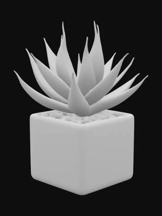 3D model for Crassula Buddha's Temple sitting in a square pot with rocks and flat base