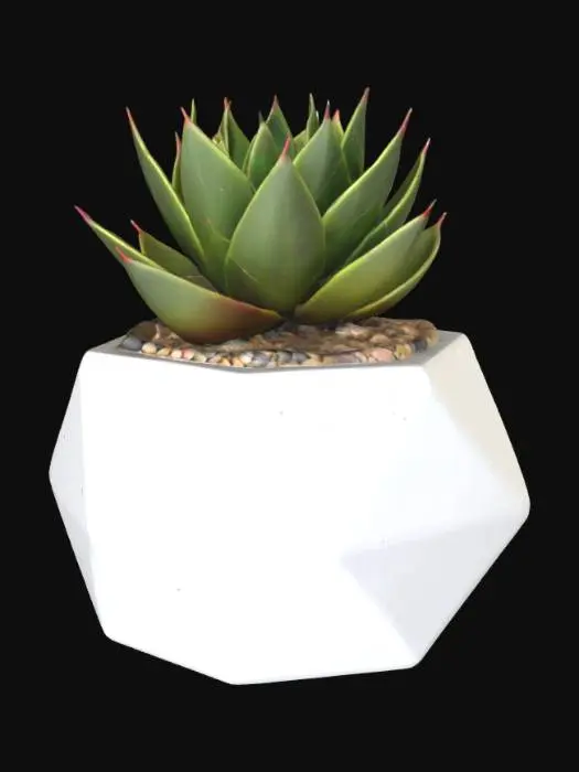 3D model for beautiful desert succulent plant contained in a geometric pot filled with sand and small pebbles