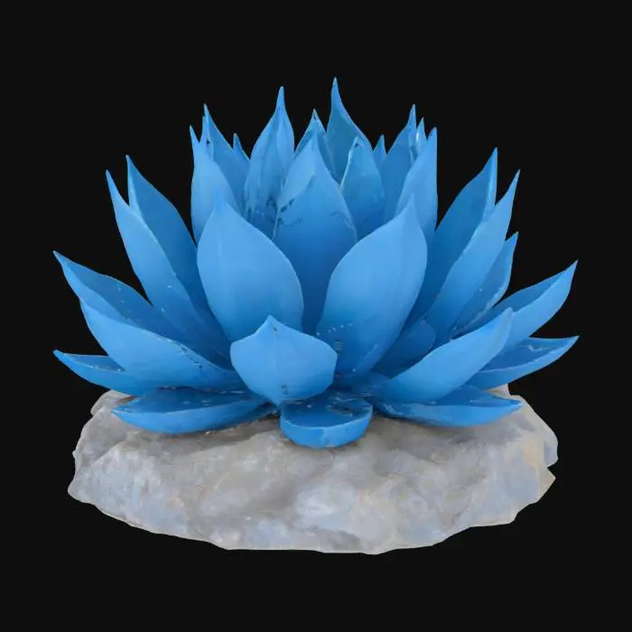 3D model for spiky crystallized blue agave on a rocky but flat base