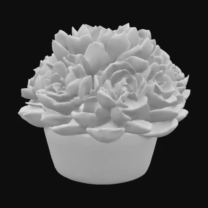 3D model for Aeonium canariense
Giant Velvet Rose, Tree Aeonium
This large shrub-like succulent has bright green rosettes that turn red in full sun.  should potted in a pot filled with sand and small pebbles