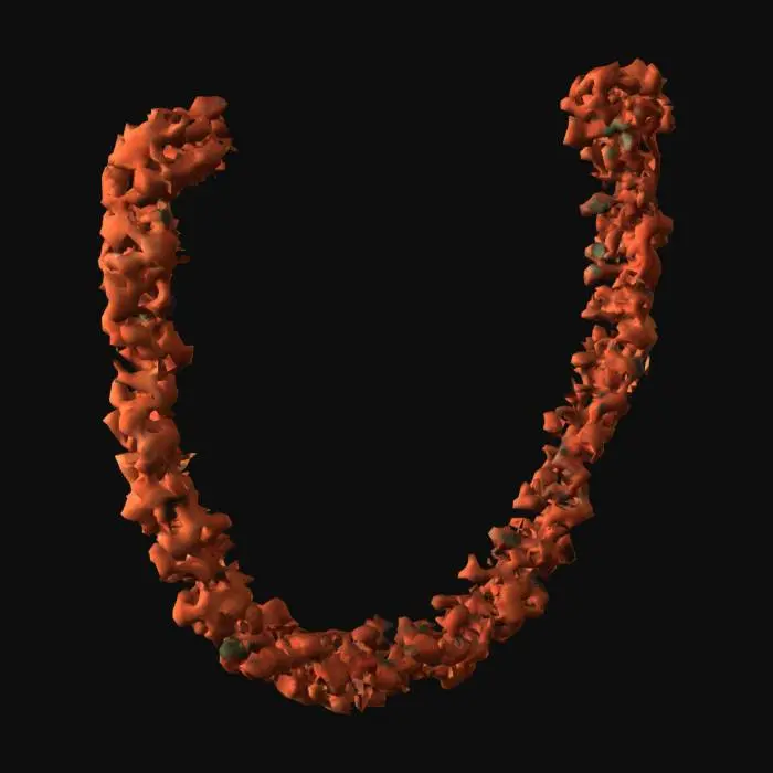 3D model for Orange Blossom Garland