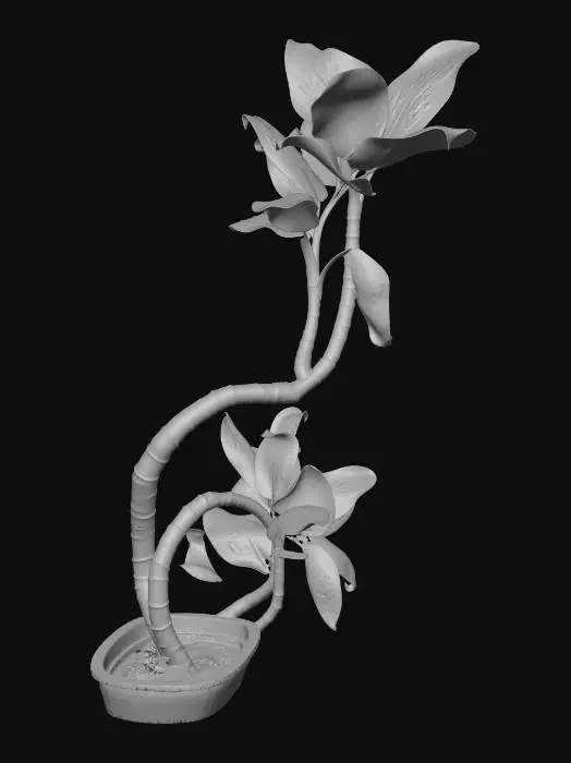 3D model for Tropical Elegance