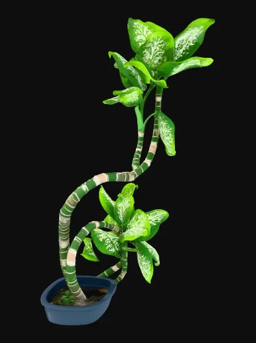 3D model for Tropical Elegance