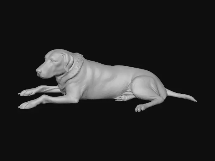 3D model for Golden Companion