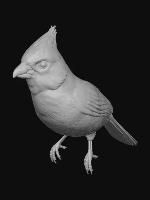 3D model for Cardinal Perch