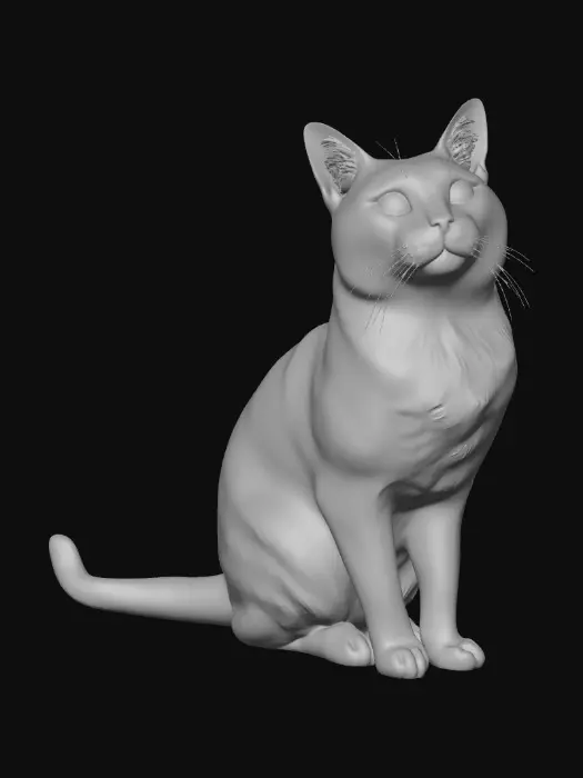 3D model for Midnight Tuxedo