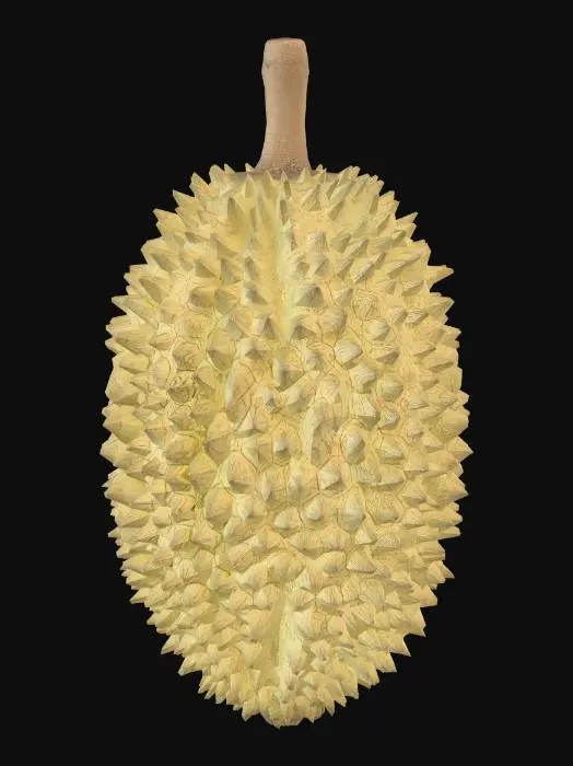 3D model for Golden Durian