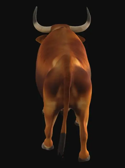 3D model for An ox with a robust, muscular build, walking with a steady, powerful gait. Its body is covered in coarse, thick hide, predominantly in earthy shades of deep brown and tan, with patches of lighter, almost creamy fur on its underbelly. The texture suggests a dense, slightly matted, yet healthy coat, giving it a rugged feel. Large, curved horns extend from its broad head, appearing smooth and bone-like, tapering to blunt points. Its sturdy legs and thick neck emphasize its immense strength.