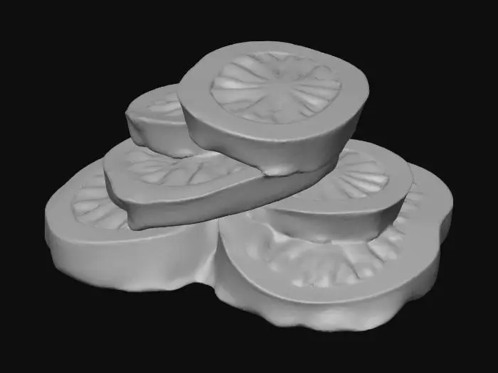 3D model for Hyper-realistic pile of tomato slices (no plate, no ground, no environment—object only). 8–12 slices stacked and overlapping in a messy heap; varied thickness, some half-slices and edge pieces. Flesh: translucent red/orange gradients, wet glossy surface, visible cell texture, tiny bubbles, juice sheen, and a few drips connecting slices. Seeds and gel: realistic seed pockets with glossy gel strands, slight pooling between slices. Skin edge: thin darker red rim with micro-texture and faint pores. Add slight curl on some slices, small tears, irregular cut marks, and compression where slices touch. Include a few loose seeds and tiny pulp bits floating between layers (no spill beyond model). PBR-ready: clean UVs, hi-res textures, accurate subsurface scattering, wet specular roughness variation,