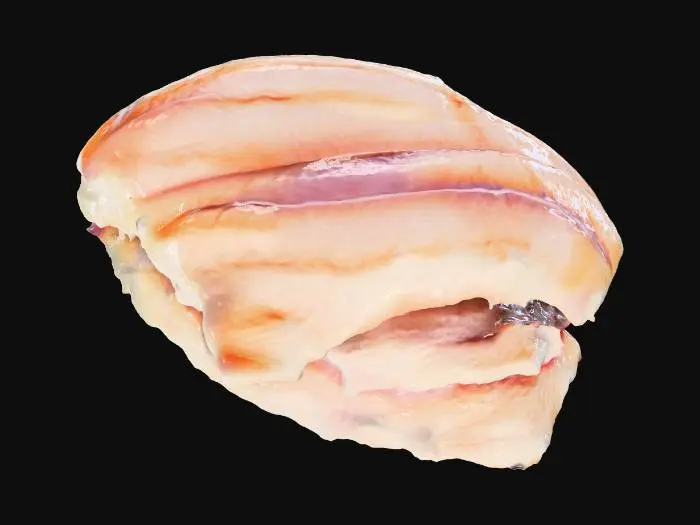 3D model for Fish Fillets