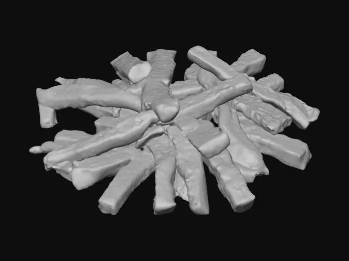 3D model for Hyper-realistic pile of uncooked French fries (raw potato sticks), object-only (no plate/bag). 30–60 fries scattered in a loose heap with natural overlap and compression; varied lengths and thickness, squared cut edges, a few slightly bent pieces. Surface: pale off-white to light yellow with subtle oxidation spots, faint moisture sheen, tiny starch dusting, micro nicks and cut marks, visible potato fiber grain. Include a few small potato crumbs and thin peel fragments mixed in. Add slight translucency at edges and soft matte-wet roughness variation. PBR-ready: clean UVs, hi-res textures, subtle subsurface scattering, micro-normal for cut-face pores and starch grain. Neutral studio lighting, centered asset, soft contact shadow, no background props. Avoid cartoon/low-poly, overly perfect uni