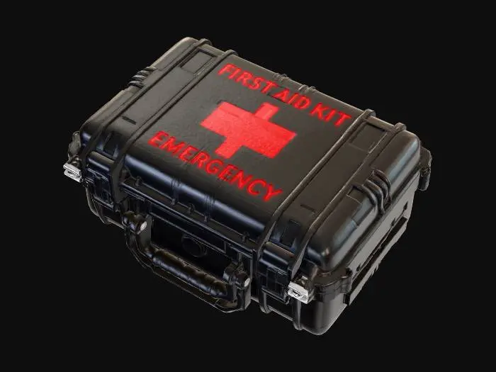 3D model for Emergency First Aid Case