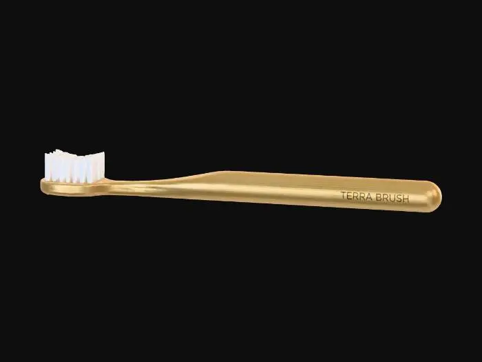 3D model for Bamboo "Terra-Brush" Toothbrush