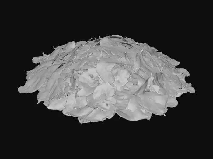 3D model for Coca Leaves pile