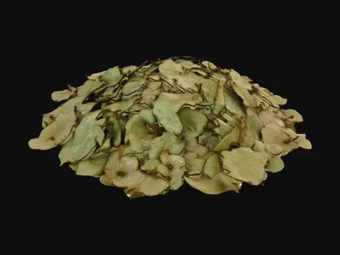 3D model for Coca Leaves pile
