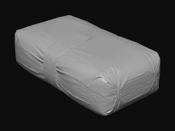3D model for Package Wrapped in Plastic