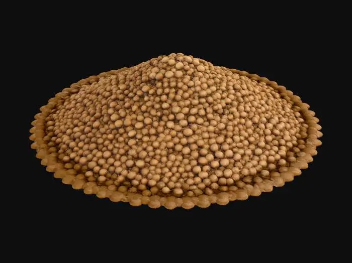 3D model for Seeds in the Dark