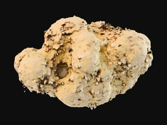 3D model for Coca Paste