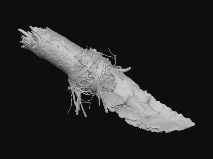 3D model for Primitive Blade