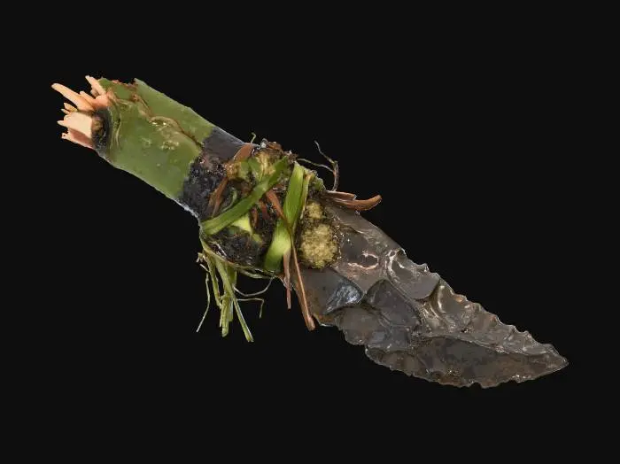 3D model for Primitive Blade
