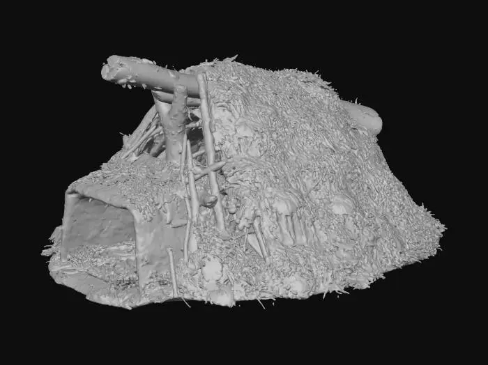 3D model for Forest Shelter