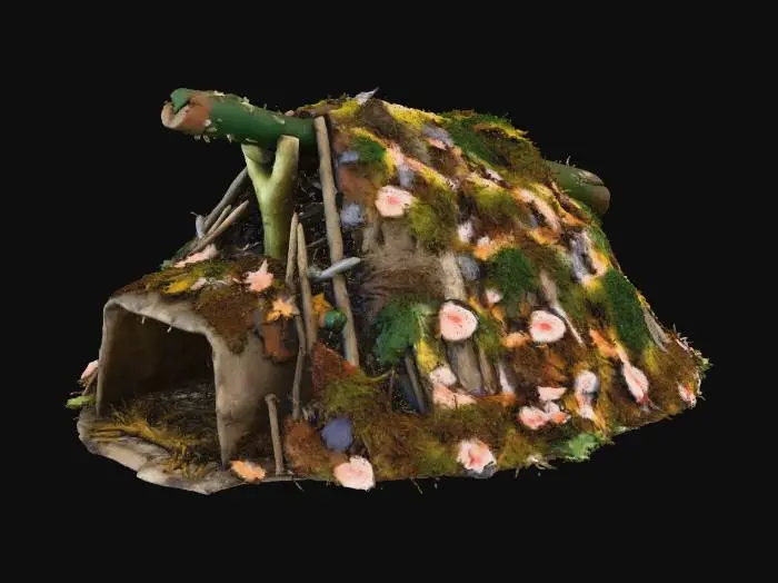 3D model for Forest Shelter