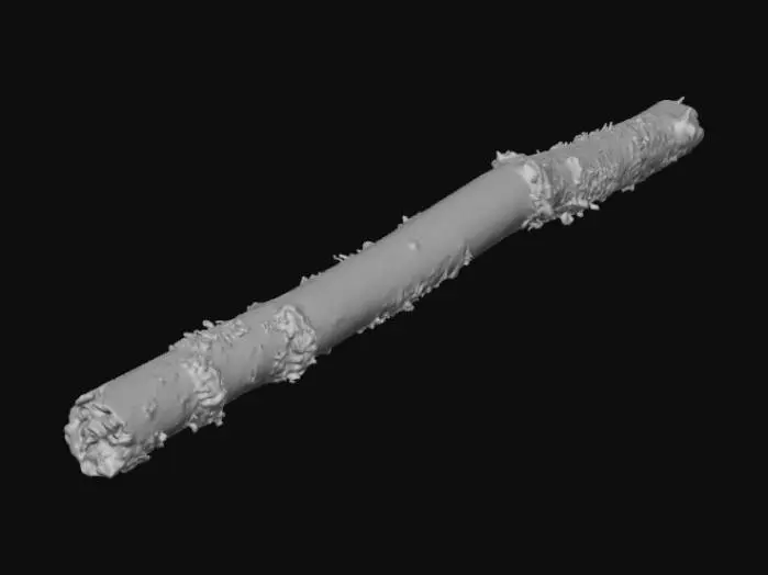 3D model for Lichen-Covered Twig