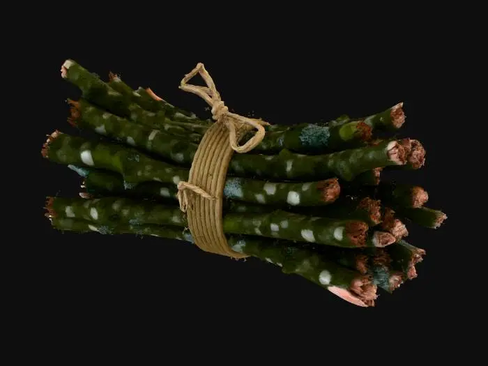 3D model for Bound Nature