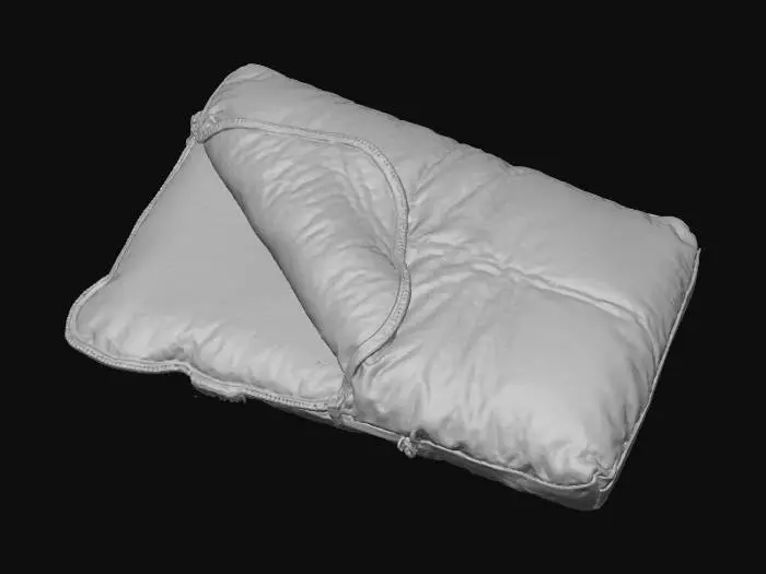 3D model for Plaid Lined Sleeping Bag