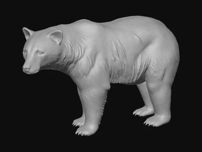 3D model for American Black Bear