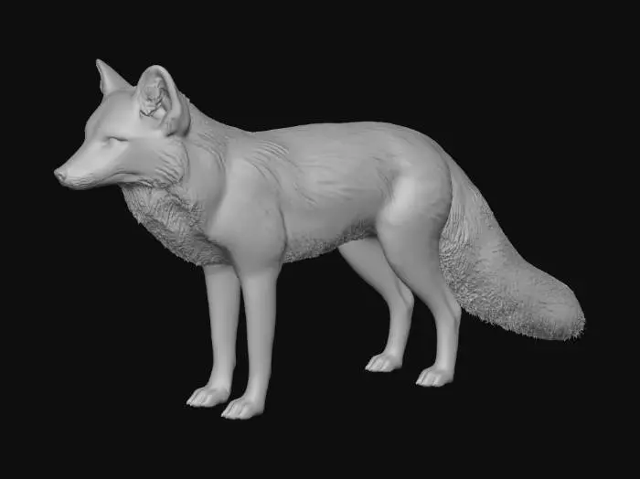 3D model for American Red Fox