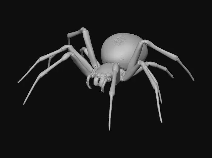 3D model for Black Widow Spider