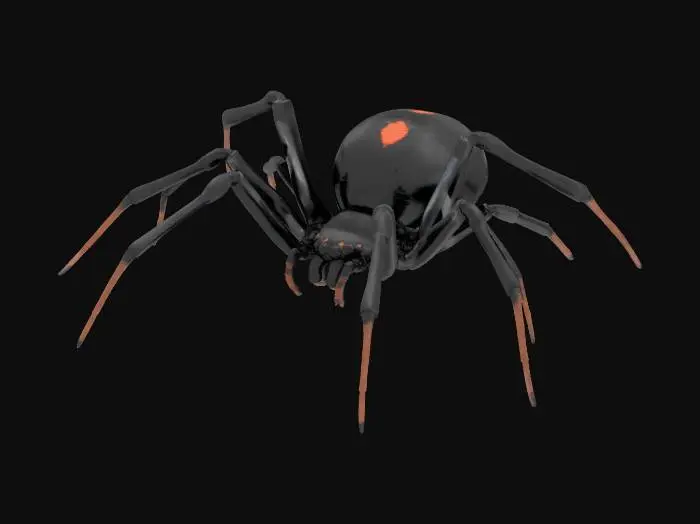 3D model for Black Widow Spider