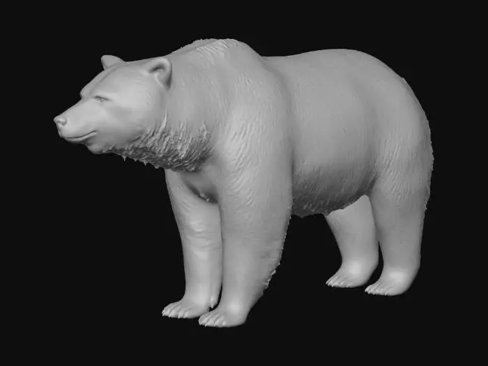 3D model for American Grizzly Bear