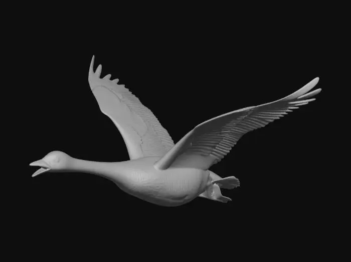 3D model for Canada Goose, Mid Flight