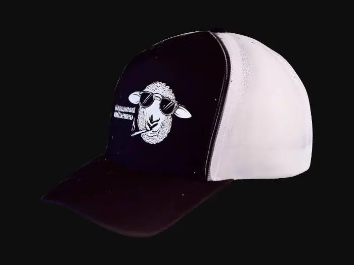 3D model for Baaaaaad Influence Hat