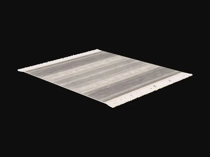 3D model for Grey Striped Fringe Rug