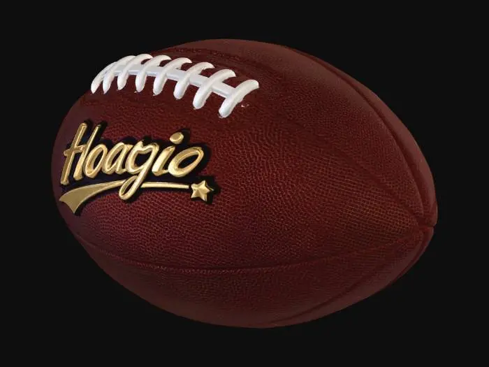 3D model for Hoagie Football