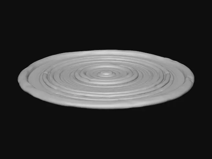 3D model for Concentric braided rug