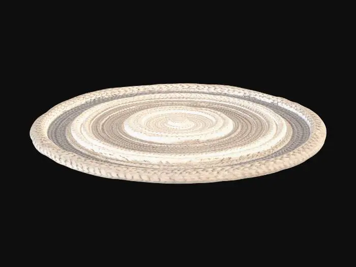 3D model for Concentric braided rug